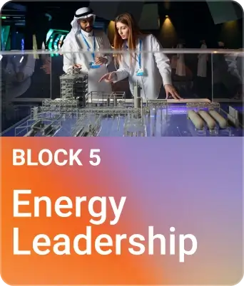 Energy Leadership
