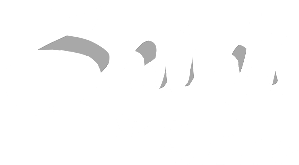 Visit Saudi